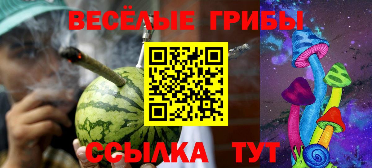 Кисловодск  Псилоцибиновые грибы мухоморы  Вход с VPN  Галлюциногенные грибы GOLDEN TEACHER 